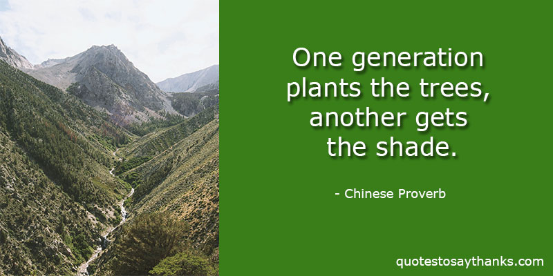 Chinese Proverb Quotes